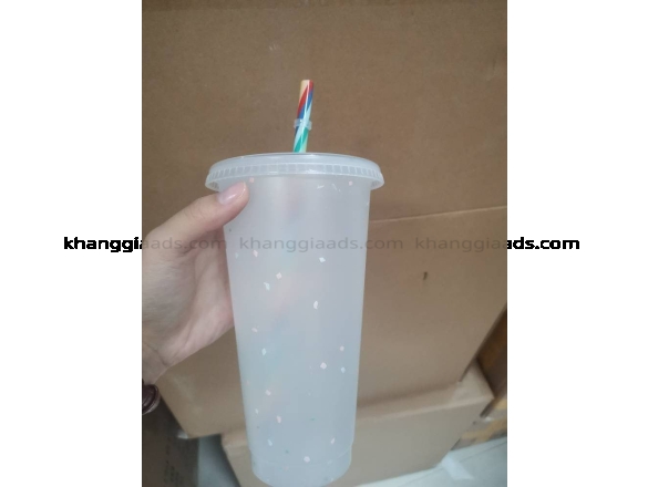LY NHỰA 1 LỚP